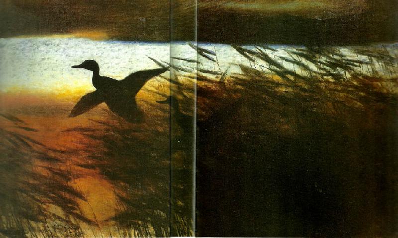 bruno liljefors sommarnatt, lyftande ander oil painting image